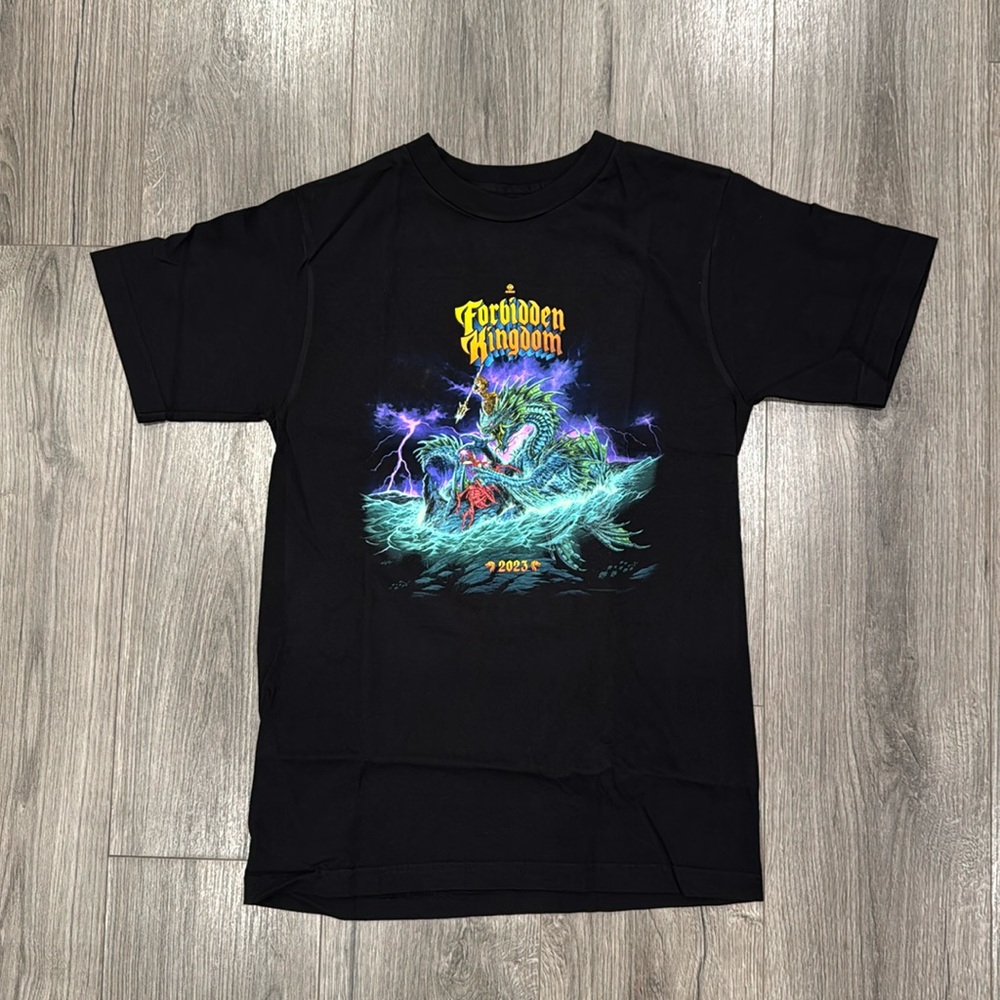 Insomniac Forbidden Kingdom Dragon Strike 2023 Lineup Tee Men’s Size Small